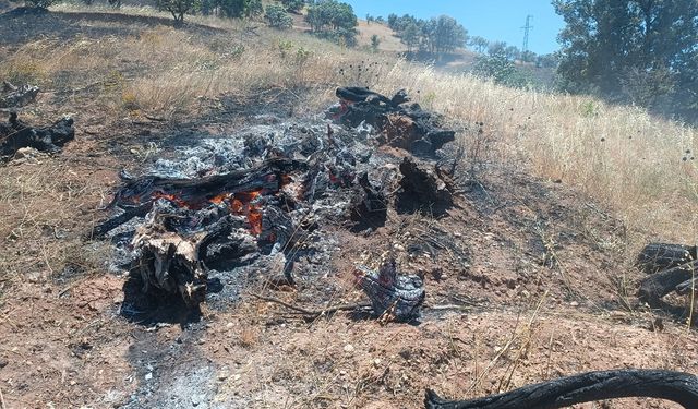 Adıyaman'da tarlada başlayan ve ormana sıçrayan yangın söndürüldü