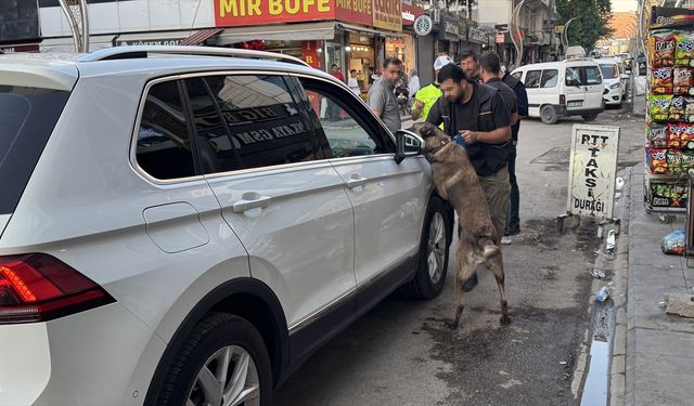 Diyarbakır'da uyuşturucu satıcılarına yönelik 'Narko Hançer' uygulaması yapıldı