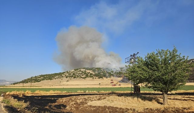 Gaziantep'te anız yakan kişiye para cezası