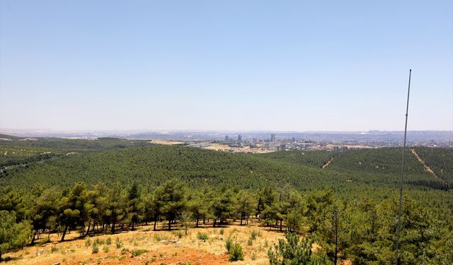 Gaziantep'te ormanlar termal dronla korunuyor