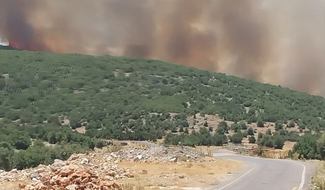 GÜNCELLEME 2 - Gaziantep'te çıkan orman yangını kısmen kontrol altına alındı
