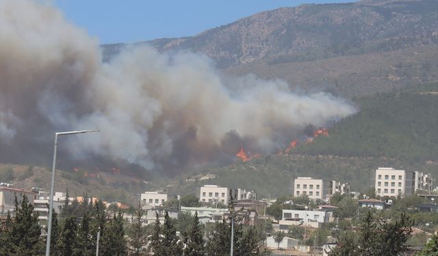 GÜNCELLEME 2 - Hatay'da ormanlık alanda yangın çıktı