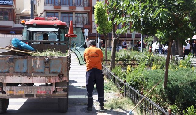 Siirt Belediyesinden temizlik ve peyzaj çalışması