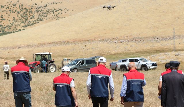 Siirt'te çekirgelere karşı dronla ilaçlama yapılıyor