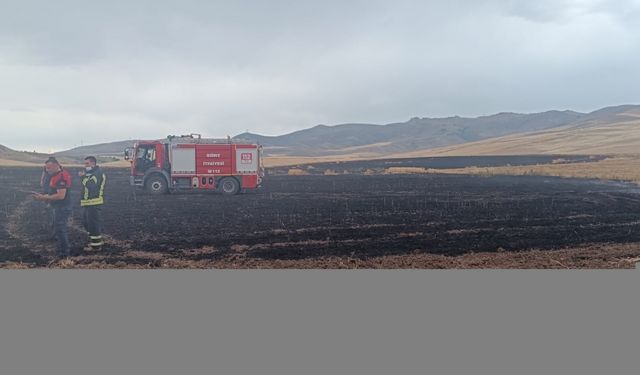 Siirt'te yıldırım düşmesi nedeniyle yangın çıkan arazideki mahsul zarar gördü