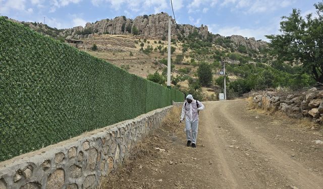 Şırnak'ta çekirge yoğunluğuna karşı 700 dekarlık alanda ilaçlama yapıldı