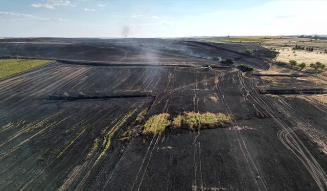 Tekirdağ'da çıkan yangında 1500 dekar tarım arazisi zarar gördü