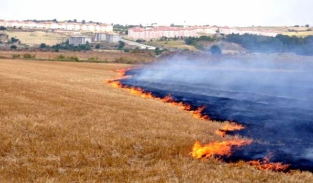 TEMA Vakfı'ndan Anız Yangınları İçin Sert Uyarı