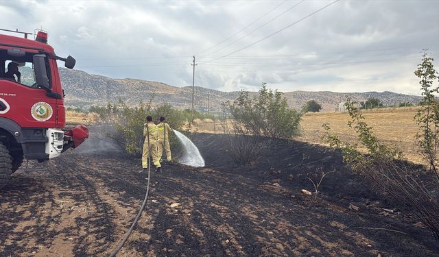 Diyarbakır'ın 3 ilçesinde ormanlık ve tarım alanlarında çıkan yangınlar söndürüldü
