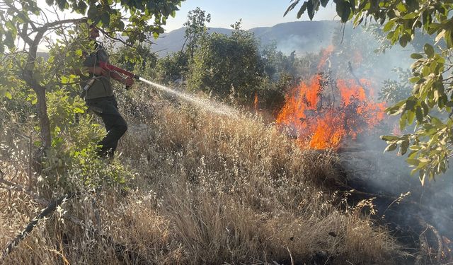 Gabar Dağı'ndaki orman ve örtü yangını kontrol altına alındı
