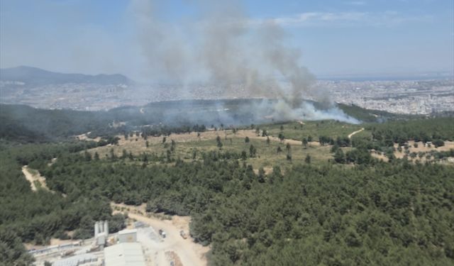 İzmir'in Buca ilçesinde çıkan orman yangınına müdahale ediliyor
