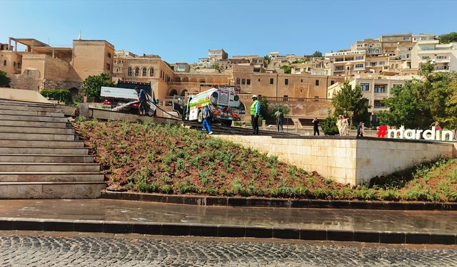 Mardin'de bazı noktalara lavanta dikildi