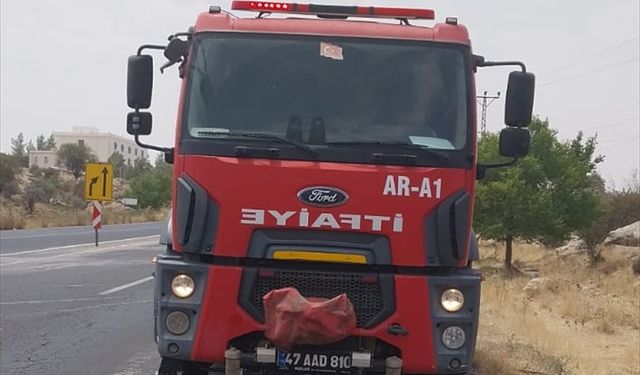 Mardin'de çıkan örtü yangını söndürüldü