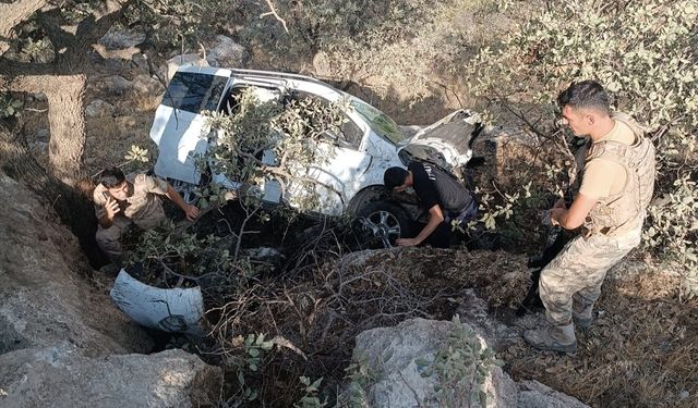 Mardin'de devrilen hafif ticari araçtaki 2 kişi yaralandı