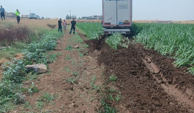 Mardin'de Tır Kazası: Sürücü Yaralandı