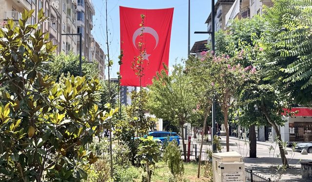 Siirt'te kamu binalarına ve caddelere 'Terörsüz Türkiye'ye destek için Türk bayrakları asıldı