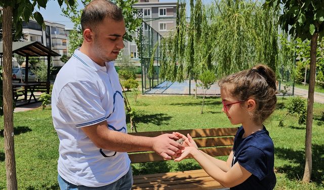 Siirt'te uçmakta zorlanan saka kuşu yavrusu koruma altına alındı