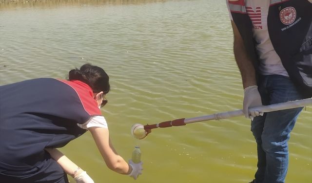 Şırnak'ta iki göletteki balık ölümleri nedeniyle inceleme başlatıldı