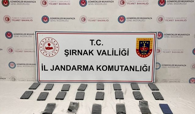 Şırnak'ta kaçakçılık operasyonlarında 38 kişi hakkında işlem yapıldı
