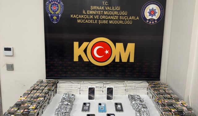 Şırnak'ta kaçakçılık operasyonlarında yakalanan şüpheli tutuklandı