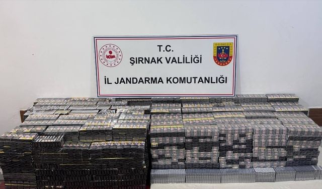 Şırnak'ta kaçakçılık ve asayiş operasyonlarında 26 kişi hakkında işlem yapıldı