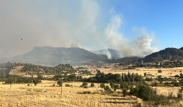 Diyarbakır'ın iki ilçesinde ormanlık alanda çıkan yangınlara müdahale ediliyor