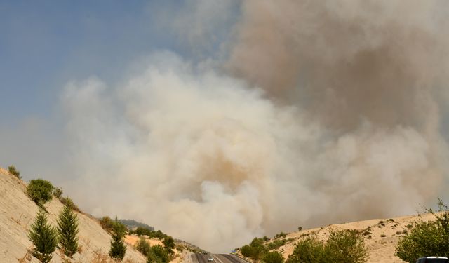 GÜNCELLEME - Adıyaman'daki ormanlık alanda çıkan yangın kontrol altında