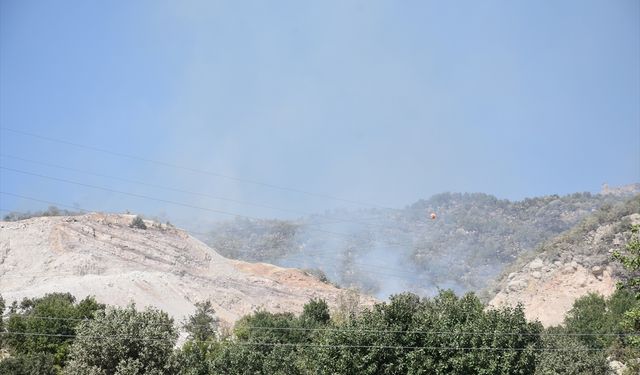 GÜNCELLEME - Şırnak'ta orman ve örtü yangını kontrol altına alındı