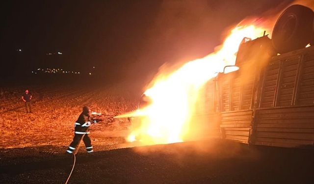 Mardin'de devrilip alev alan tırın sürücüsü öldü