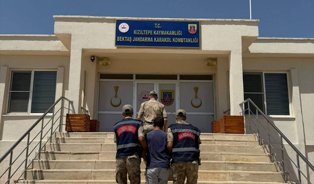 Mardin'de 'hayvanların kısırlaştırılmasına' ilişkin uygunsuz paylaşımda bulunan şüpheli gözaltına alındı