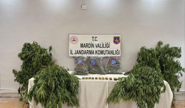 Mardin'de uyuşturucu operasyonunda yakalanan zanlı tutuklandı