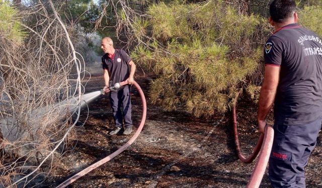 Şanlıurfa'da otluk alanda çıkan yangın söndürüldü