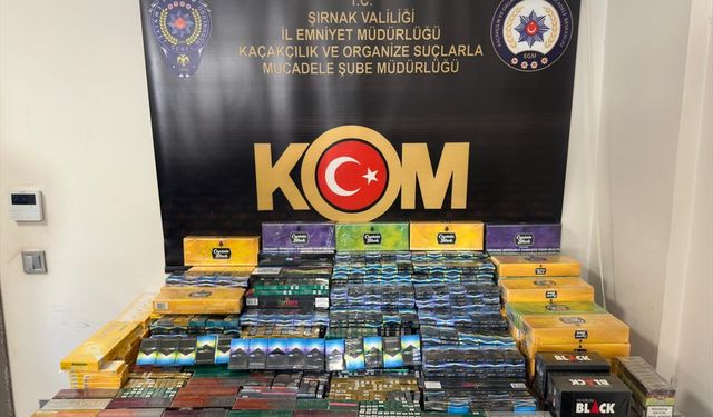 Şırnak'ta kaçakçılık ve asayiş operasyonlarında 29 kişi hakkında işlem yapıldı
