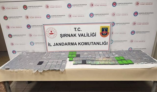 Şırnak'ta kaçakçılık ve asayiş operasyonlarında 34 kişi hakkında işlem yapıldı