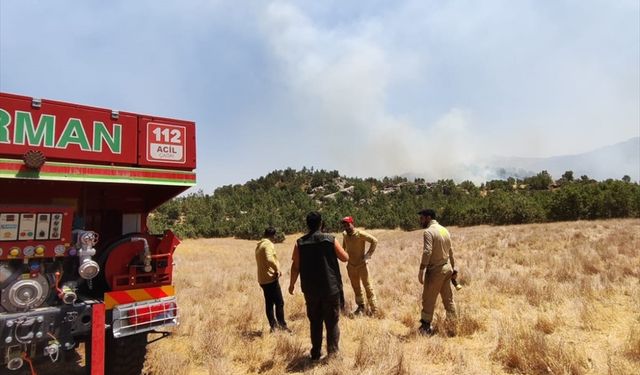 Şırnak'ta orman ve örtü yangınına müdahale ediliyor