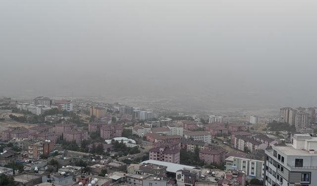 Şırnak'ta toz taşınımı etkili oldu