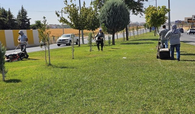 Batman Belediyesi Temizlikte Sınır Tanımıyor