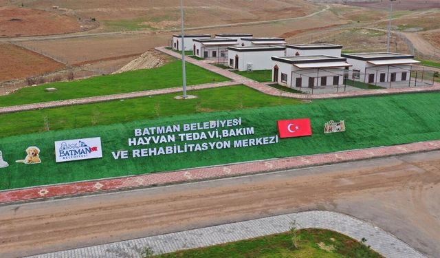 Batman Hayvan Barınağı Sokak Hayvanlarına Umut Oldu