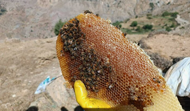 Bingöl'ün Neyi Meşhur?