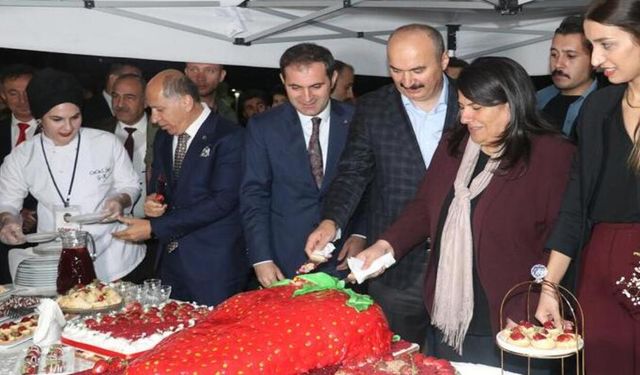 Sason Bal, Ceviz ve Çilek Festivali Başlıyor
