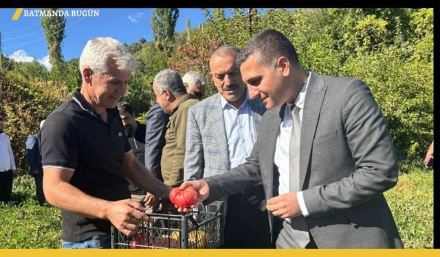 Coğrafi İşaretli Kozluk Domatesi Hasat Edildi