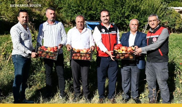 Kozluk Domatesi Sofraları Şenlendiriyor