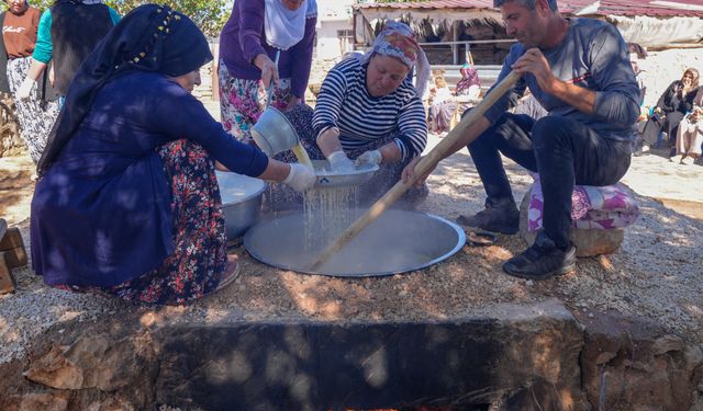 Diyarbakır'da Bağ Bozumu Coşkusu