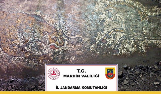 Mardin'de Tarihi Eser Operasyonu