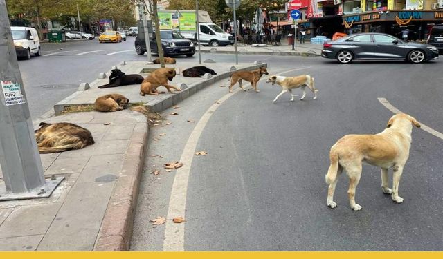 İstanbul Çekmeköy Belediyesinden Dalga Geçer Gibi Paylaşım