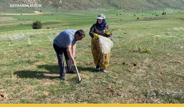 Tatvan'da ne yetişir?