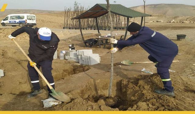 Batman Belediyesi, Yeni Mezarlıkta 232 Fidanı Toprakla Buluşturdu