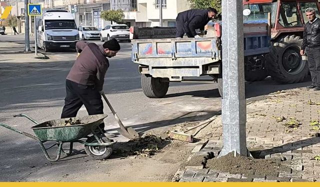 Batman Tılmerc Mahallesi'nde Onarım Seferberliği