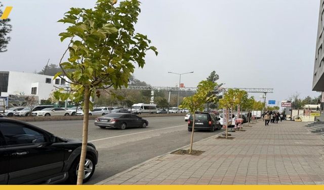 Batman Turgut Özal Bulvarı'ndaki Yeni Kavşaklara Yeşil Dokunuş