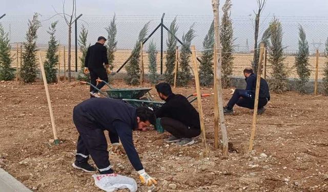 Batman’da 2 Bin Metrekarelik Atık İstasyonu Çevresi Artık Daha Yeşil